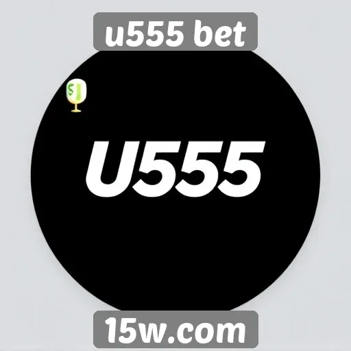 Opções de pagamento disponíveis no u555 bet